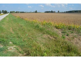 Property photo 26 - REAL ESTATE AUCTION - 604+/- ACRES IN 14 TRACTS IN MERCER CO., OHIO